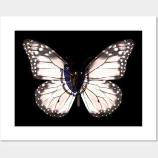 Massachusetts Flag Butterfly - Gift for Massachusettsan From Massachusetts MA Posters and Art